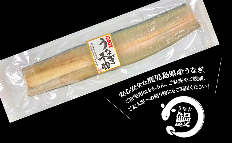 W-1805 鹿児島県産 うなぎ干物 1尾(120g以上)