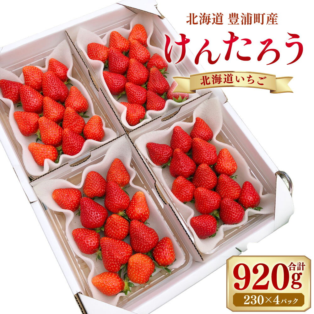 【ふるさと納税】【2027年4月下旬より発送】けんたろう 230g×4パック 北海道 豊浦町