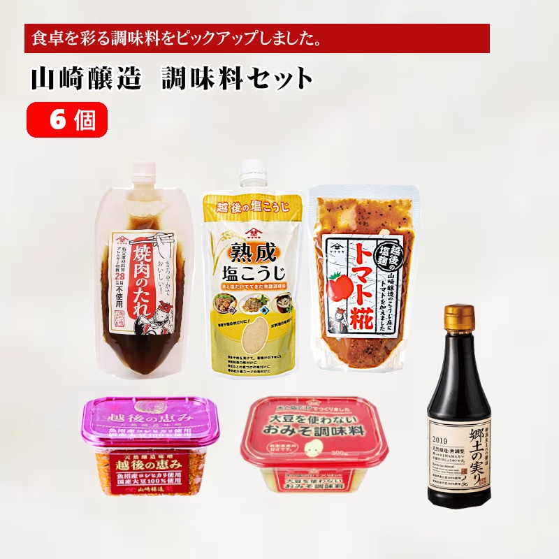山崎醸造 調味料6個セット (人気の6種類×各1個) 塩麹 万能調味料 山崎醸造 【0002-0241-01】