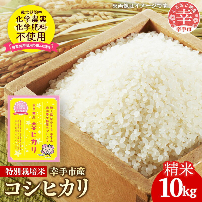 【ふるさと納税】【令和7年産】無農薬・無化学肥料栽培 埼玉県幸手市産特別栽培コシヒカリ 「幸ヒカリ」精米10kg - 新米発送 コシヒカリ こしひかり 米 精米 10kg 特別栽培米 幸手市産 埼玉県 幸手市