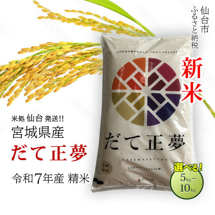 【ふるさと納税】【宮城県産 だて正夢】新米 令和7年度産 精米＜ 選べる内容量 5kg ／ 10kg ＞ 【米 お米 こめ コメ ご飯 ごはん】 | お米 こめ 白米 食品 人気 おすすめ 送料無料