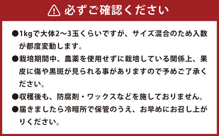 環境マイスターのグレープフルーツ 良品・訳あり混合 10kg （栽培期間中は無肥料・無農薬） 果物 くだもの フルーツ グレープフルーツ 柑橘 【2025年3月下旬‐5月下旬迄順次発送予定】