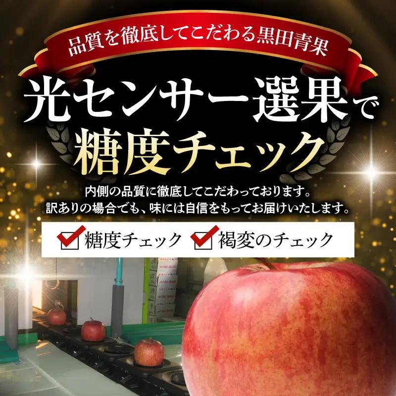 りんご 1月後半発送 訳あり 葉とらずサンふじ 約10kg りんご