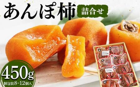 厳選 個包装 あんぽ柿(詰合せ)450g F20C-827