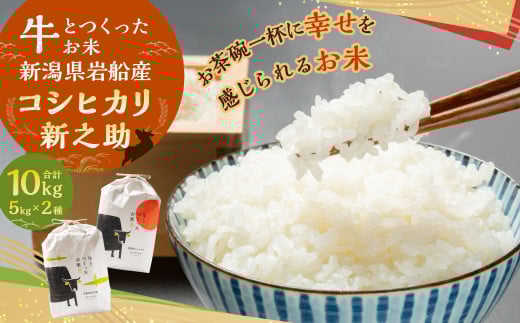【令和7年産米】牛とつくったお米 新潟県村上市岩船産 コシヒカリ 5kg・新之助 5kg 計10kg 1041006