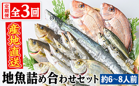 【D09002】【3回定期便】魚屋さんの選んだ新鮮お魚詰め合わせ(約6～8人分) 鹿児島 国産 九州産 産直 産地直送 鮮魚 新鮮 魚 海産物 お刺身 煮つけ 焼き魚【マルケイ水産】