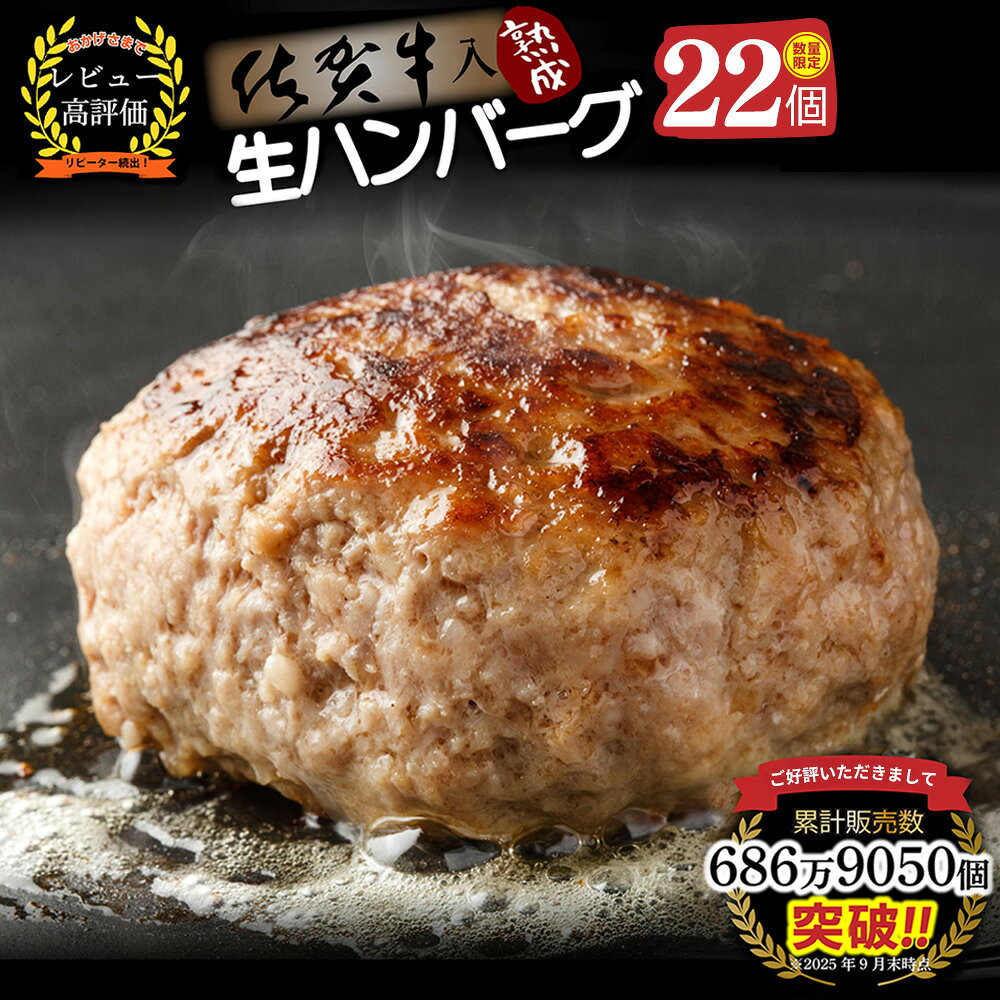 たっぷり20個 ふんわり食感 佐賀牛入り熟成生ハンバーグ