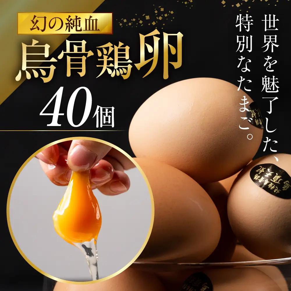 【12ヶ月定期便】烏骨鶏たまご モールド 40個｜たまご