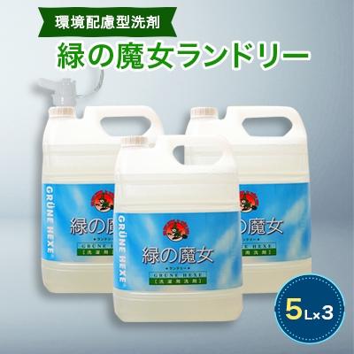 ふるさと納税 龍ケ崎市 【毎月定期便】ふるさと納税専門誌掲載品　環境配慮型洗剤緑の魔女ランドリー5L×3セット 全12回