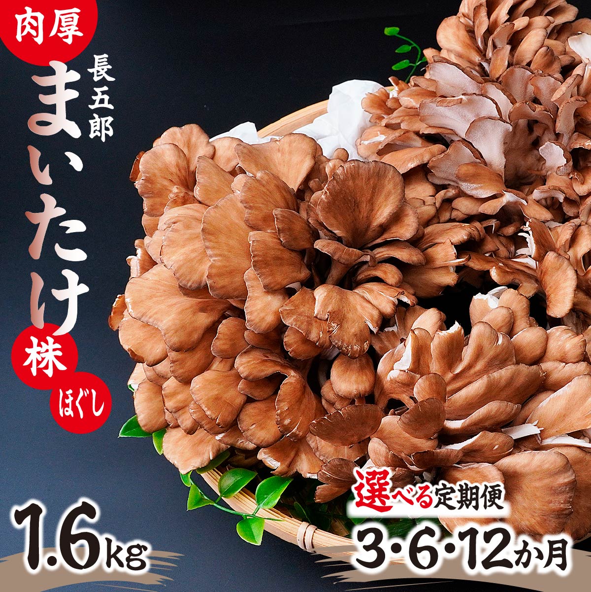 【ふるさと納税】＜選べる定期便＞父の日 長五郎 まいたけ かぶ500g×2個 ほぐし300g×2袋 合計1600g｜炊き込みご飯 きのこご飯 舞茸ご飯 天ぷら 舞茸 まいたけ きのこ 野菜 丸ごと 国産 無農薬 安全 安心 食物繊維 健康 カロリー 低い 産地直送 プレゼント ギフト 贈り物