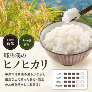 【定期便 3回】お米 ヒノヒカリ 精米 5キロ | ヒノヒカリ 精米5キロ 自然栽培 化学肥料控えめ 安心・安全 国産米 おいしいお米 減農薬米 大分県産 九州産 中津市