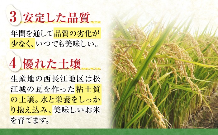 令和8年産 新米 米 定期便 きぬむすめ 松江市産 ごはん ソムリエ厳選 減農薬 10kg 白米 島根 お米 ギフト お歳暮
