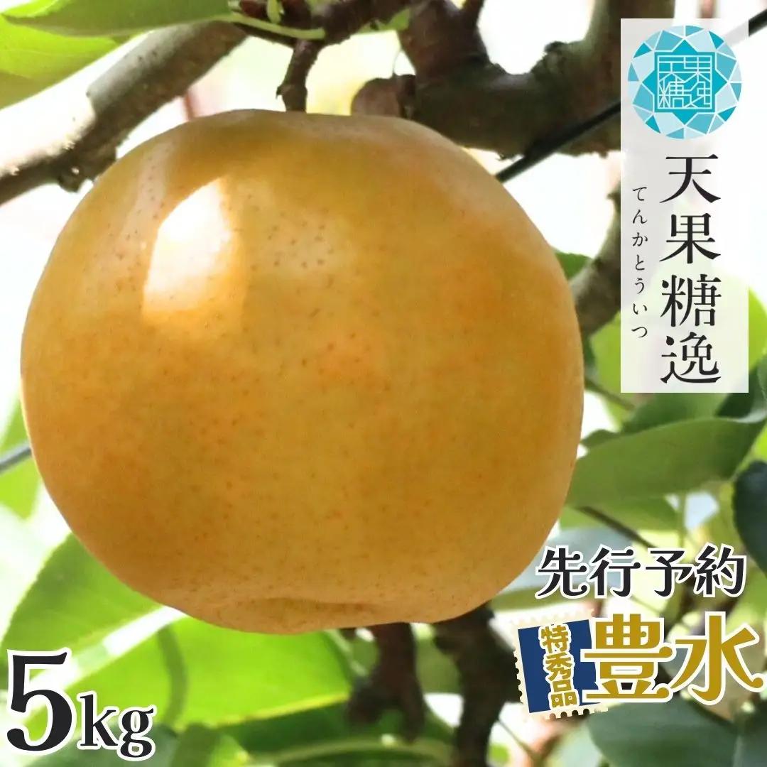 先行予約 和梨 豊水 特秀品 約5kg 糖度13度以上を厳選 令和8年度 新潟県産 天果糖逸 JAえちご中越