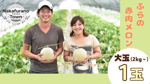 【ふるさと納税】【2025年発送】ふらの赤肉メロン大玉　1玉（2kg～）