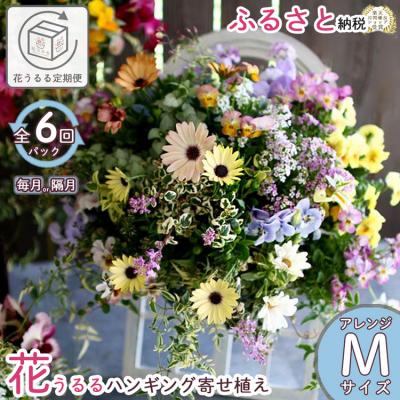 ふるさと納税 山口市 花うるるのハンギング定期便〜アレンジコース【全6回】(半年〜1年間お届け) A031
