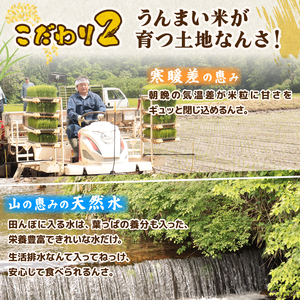コシヒカリ 5kg 令和7年産コシヒカリ 12月 特別栽培米 新潟 プレミアム 