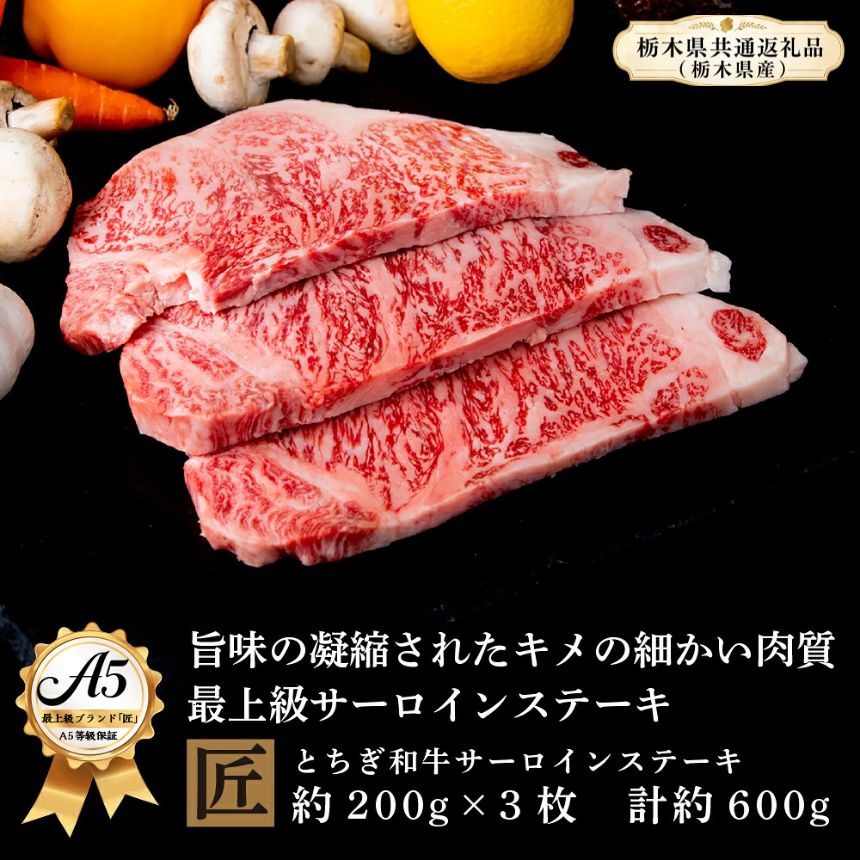 【ふるさと納税】とちぎ和牛 A5サーロイン 約200g×3枚 ｜ 国産 和牛 牛 肉 生産者 認定 銘柄 A5 旨味 うまみ きめ細かい サシ 霜降り とろける 品質 柔らかく 美味しい おいしい 芸術品 特産品 栃木県 真岡市 送料無料 栃木県共通返礼品（栃木県産）
