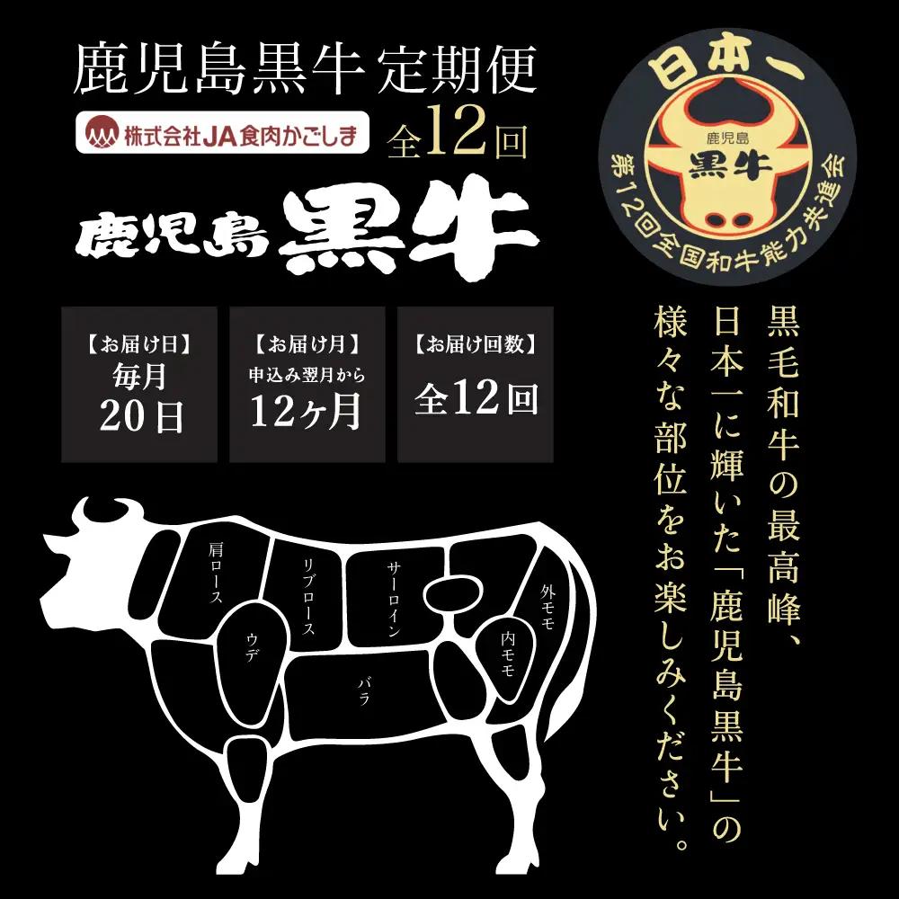 【JA食肉かごしま】鹿児島黒牛 定期便（全12回） かごしまブランド 黒毛和牛 和牛 牛肉 お肉 霜降り 赤身 ステーキ 焼肉 焼き肉 バーベキュー BBQ すき焼き しゃぶしゃぶ 食べ比べ 定期便 