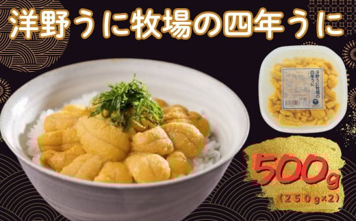 洋野うに牧場の四年うに 250ｇ×2パック ミョウバン不使用 無添加 北三陸 塩水うに 天然 生うに 雲丹 キタムラサキウニ