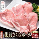 【ふるさと納税】佐賀県自慢の肥前さくらポーク とんかつ用 ロース【120g×6枚】(H081141)