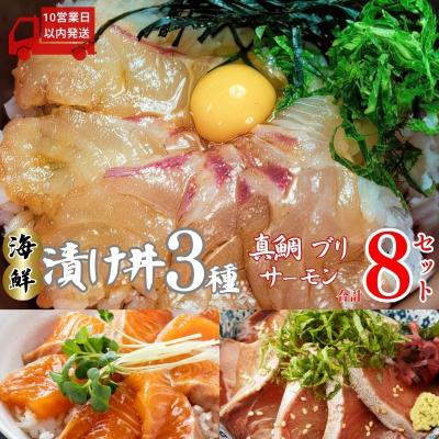 ふるさと納税 愛南町 海鮮漬け丼 厳選 3種 8食 セット 真鯛 ブリ サーモン 南予ビージョイ