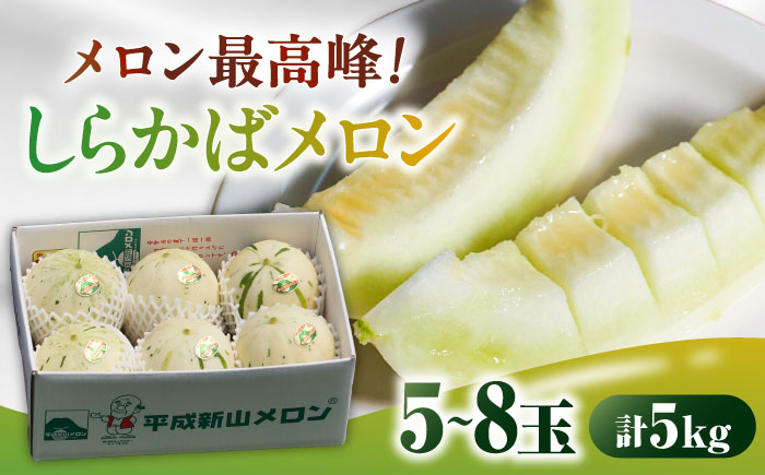 しらかばメロン 5玉〜8玉 約5kg / メロン めろん 果物 フルーツ / 南島原市 / うえだメロン園 [SAD009]