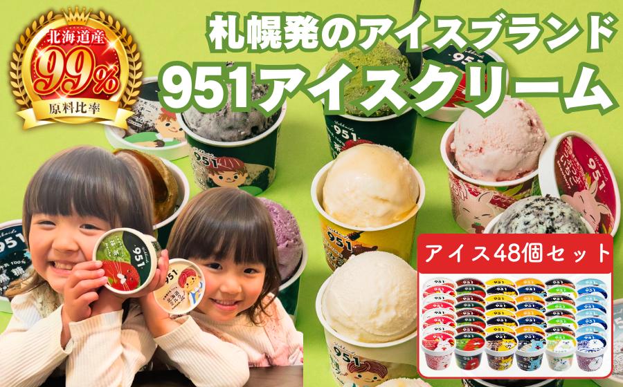 
            951アイスクリーム　48個セット
          