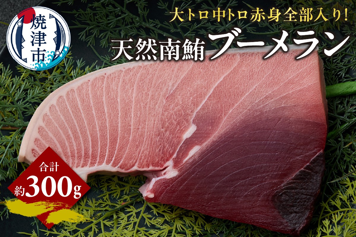 
                  a11-158　天然 南マグロ ブーメラン 約300g
                
