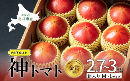 【先行受付】神トマト3K箱 【 ふるさと納税 人気 おすすめ ランキング 野菜 トマト とまと 神トマト リコピン おいしい 新鮮 鮮度抜群 健康 ヘルシー 北海道 北斗市 送料無料 】 HOKY001