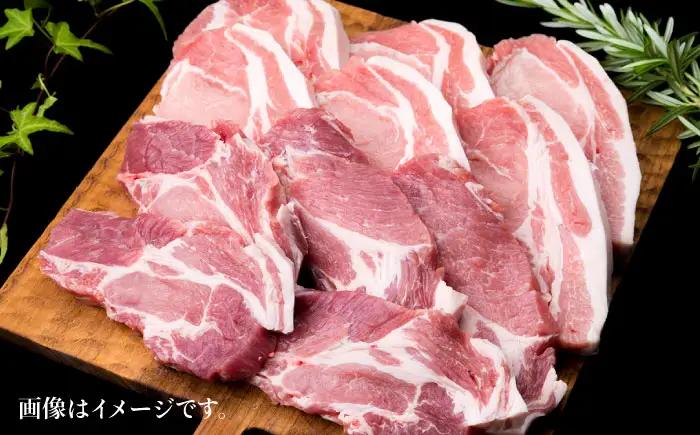 【全3回定期便】糸島豚ロース肉6枚 肩ロースカツ5枚 合計11枚セット 糸島市/糸島ミートデリ工房[ACA229]