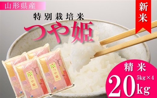 【令和8年産・精米】竹原田ファームの特別栽培米つや姫20kg（5kg×4袋）　※10月中旬頃から順次配送 [HT1-027(竹原田ファーム)] 【令和8年産】つや姫20kg　￥50,500