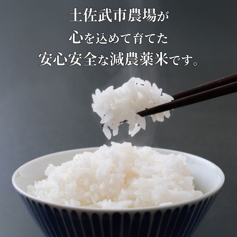 【お米定期便】 【6回】 令和7年度 玄米 コシヒカリ 数量限定 各5キロ 米 コメ 減農薬栽培 お米 精米 早場米 新米 ご飯 おにぎり こめ 白米 低化学肥料 高知県 南国市