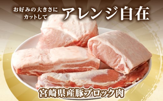 宮崎県産豚ブロック肉4種セット(合計3.5kg) 肉 豚 豚肉 国産_T009-0283