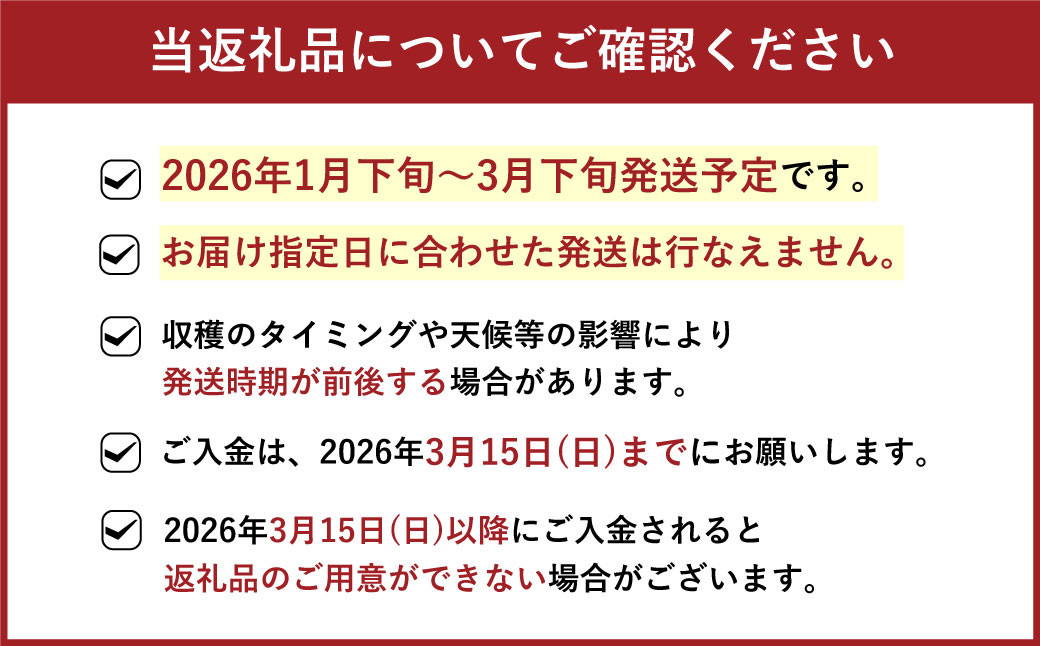 福岡県産 博多あまおう 約1.68kg (約280g×6パック入り) いちご 苺