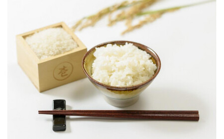 【数量限定】令和7年/新潟上越産「標高480mの山間地で育てた棚田米コシヒカリ」精米8kg