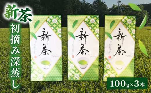 【通常配送】新茶 100g × 3本セット 初摘み 深蒸し 煎茶 緑茶 お茶 茶葉 母の日 ギフト プレゼント 家庭用 常温 保存 便利 簡易包装 お試し 静岡 沼津 指定日対応可 2026年