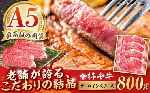 【2026年1月発送】最高級A5等級 三重県産 黒毛和牛 柿安牛 サーロインステーキ 800g / 国産牛 ブランド牛 牛肉 冷蔵 / 亀山市 / 柿安本店 [AMBW020-1]