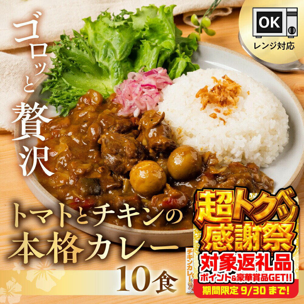 【ふるさと納税】豊橋チキンカレー 10個セット カレー レトルトカレー 常温保存 備蓄 本格カレー 本格的 チキンカレー トマトカレー セット 詰め合わせ 常備 ご当地カレー 人気 常温 簡単 簡単調理 電子レンジ対応 レンジ キャンプ 時短 便利 夕飯 愛知県 豊橋市