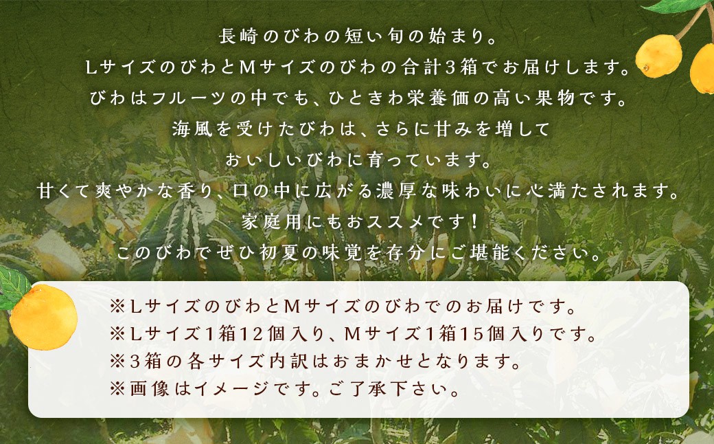 【大人気！】 びわ L＆Mサイズ おまかせ 計3箱