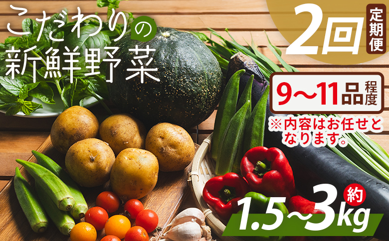 こだわりの新鮮野菜 ２回定期 Waf-0002