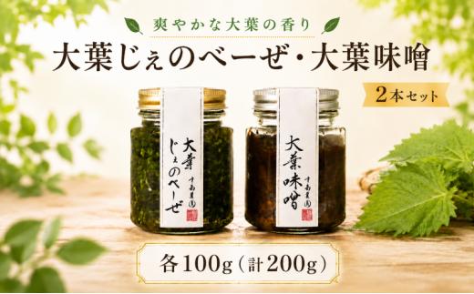 大葉じぇのべーぜ 大葉味噌 2本セット 大葉 オオバ しそ シソ ジェノベーゼ 味噌 じぇのべーぜ みそ ミソ 調味料 ソース 料理 茨城県 鉾田市 中島農園