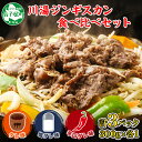 【ふるさと納税】2543. ジンギスカン タレ 塩 辛口タレ 3種 食べ比べ セット 計3パック 羊肉 焼肉 味付け肉 BBQ バーベキュー お取り寄せ 冷凍 郷土料理 プレゼント 贈り物 gift 送料無料 21000円 北海道 弟子屈町