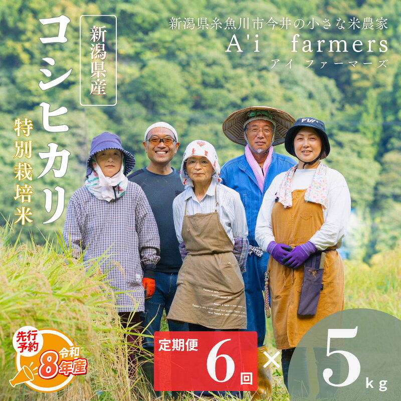【ふるさと納税】 令和8年産 先行予約 コシヒカリ(BL) 【6ヶ月定期便】 白米 5kg×6回 毎月お届け 計30kg 【新潟県 糸魚川市産 減農薬 減化学肥料米 美味しいお米 新潟米 今井産 アイファーマーズ 今摺り米 精米 こしひかり おにぎり お弁当 おすすめ お米 コメ 2026】