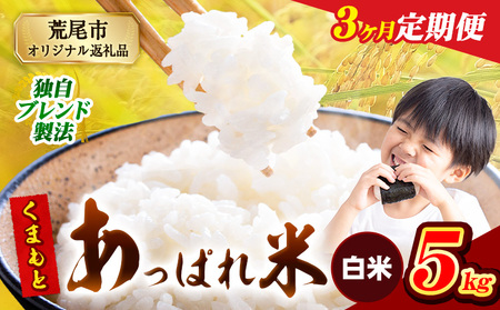 【3ヶ月定期便】 熊本県産 くまもとあっぱれ米 5kg  熊本県産 ふるさと納税  白米 精米 米 こめ ふるさとのうぜい コメ お米 おこめ《お申し込み月の翌月から出荷開始》