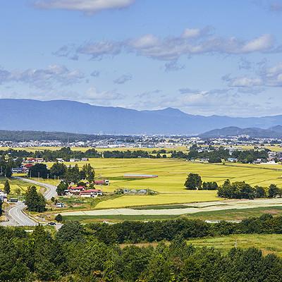 ふるさと納税 川西町 令和7年産　山形県産　雪若丸　4kg |  | 03