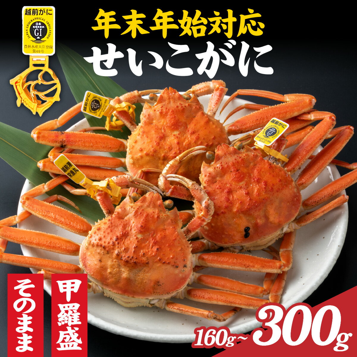 【ふるさと納税】【先行予約】美味しさ直送！ 【成前特選】 せいこがに ×5杯 選べる大きさ！【年末年始対応】 [E-028010] / かに かにみそ 越前ガニ ズワイガニ ずわい蟹 ズワイガニ 姿 年内お届け せいこ蟹 せこがに 香箱がに 香箱かに メス 福井 国産 冷蔵 年内発送
