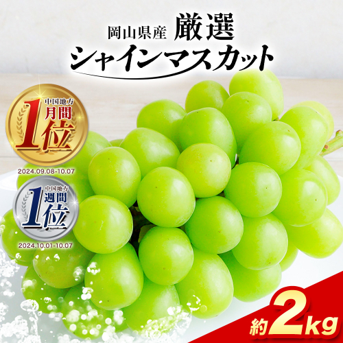 【2026年先行予約】厳選 訳あり シャインマスカット 約 2kg 3～4房 ≪2026年9月上旬-11月上旬頃に出荷≫岡山県 浅口市 シャインマスカット ぶどう フルーツ 果物 贈り物 ギフト 国産 岡山県産 送料無料 シャイン マスカット マスカットシャイン ブドウ 葡萄