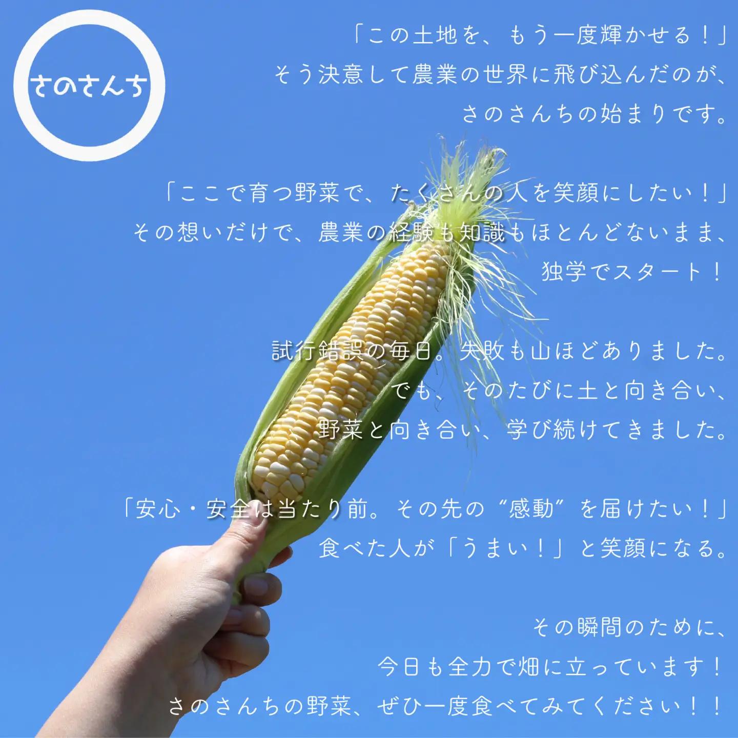 オクラ 500g オクラ