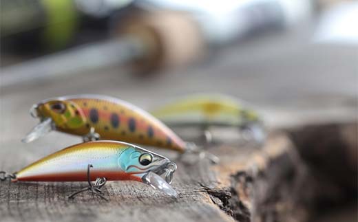 神室フィッシャーマンズロッジ 大人お1人様プラン 半日券 イベント チケット 釣り フィッシング アウトドア F4B-0594