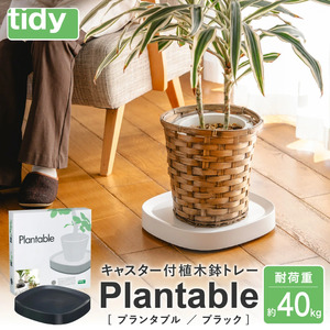 tidy ティディ Plantable（キャスター付植木鉢トレイ）【ブラック】012EB04N.／台 観葉植物 トレイ プランター 受け皿 受皿 鉢皿 らくらく移動 可動式 軽量 ガーデニング リビング オフィス 玄関 掃除用品 掃除 お掃除 日用品 インテリア 雑貨 おしゃれ